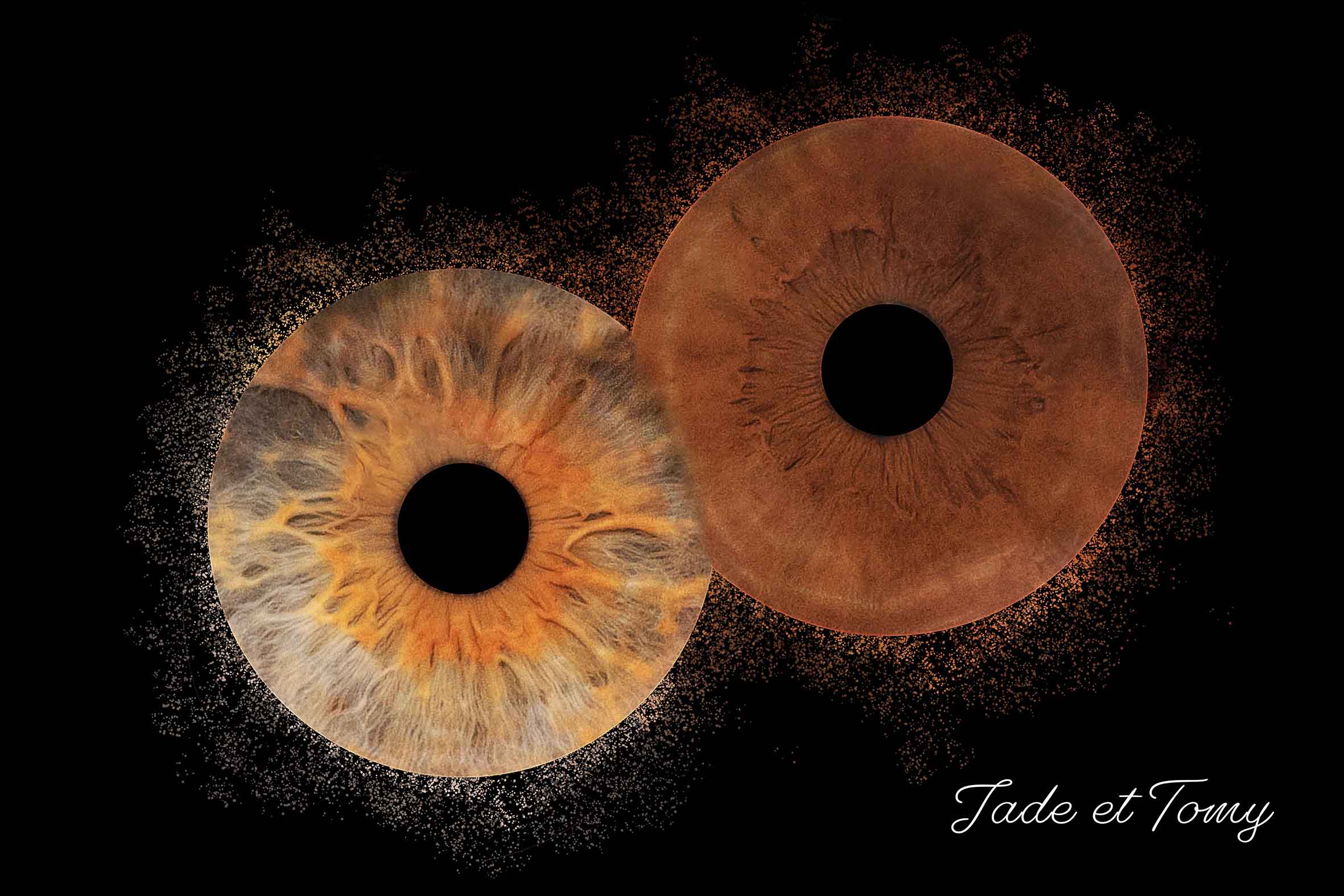 Photos d'iris photographe la roche sur yon